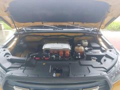 Foton Dajiangjun EV Ethnic Splendor Edition Multi-Purpose Cargo Vehicle - photo 20