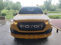 Foton Dajiangjun EV Ethnic Splendor Edition Multi-Purpose Cargo Vehicle - photo 3
