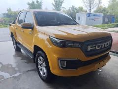 Foton Dajiangjun EV Ethnic Splendor Edition Multi-Purpose Cargo Vehicle - photo 4