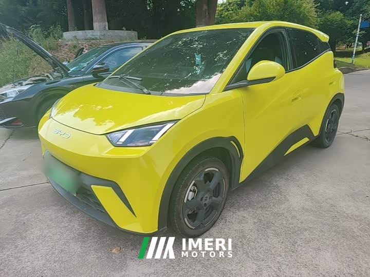 BYD Seagull Freedom Edition - ავტომობილი ჩინეთიდან