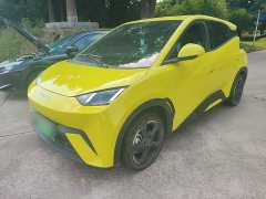 BYD Seagull Freedom Edition - ფოტო 2