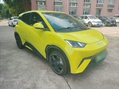 BYD Seagull Freedom Edition - ფოტო 4