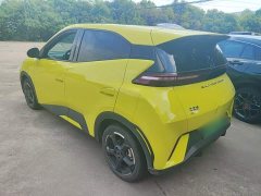 BYD Seagull Freedom Edition - ფოტო 5