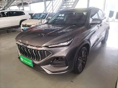 Changan Oushan X5 2021 1.5T DCT Premier - ფოტო 2