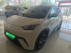 BYD Seagull 2023 Vitality Edition - ფოტო 1