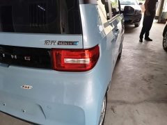 Wuling Hongguang MINIEV 2020 Deluxe Edition LFP Battery - ფოტო 8