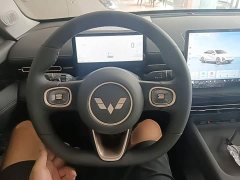 Wuling Starlight 70km Smart Standard Edition - ფოტო 11
