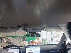 Wuling Starlight 70km Smart Standard Edition - ფოტო 18