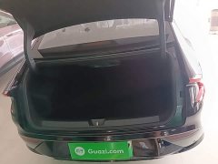 Wuling Starlight 70km Smart Standard Edition - ფოტო 19