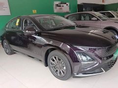 Wuling Starlight 70km Smart Standard Edition - ფოტო 4