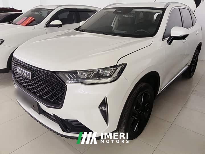 Haval H6 2021 Third Generation 2.0T Automatic Two-Wheel Drive Max - car from China
