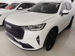 Haval H6 2021 Third Generation 2.0T Automatic Two-Wheel Drive Max - photo 1