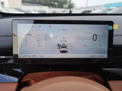Wuling Xingguang S 130km Flagship - ფოტო 12