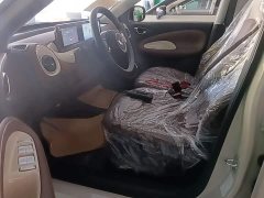 Wuling Binguo 2024 333km Joy Edition - ფოტო 15