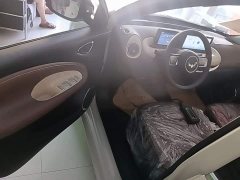 Wuling Binguo 2024 333km Joy Edition - ფოტო 16
