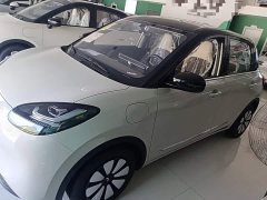 Wuling Binguo 2024 333km Joy Edition - ფოტო 2