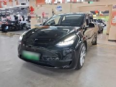 Tesla Model Y Facelift Long Range All-Wheel Drive - ფოტო 1