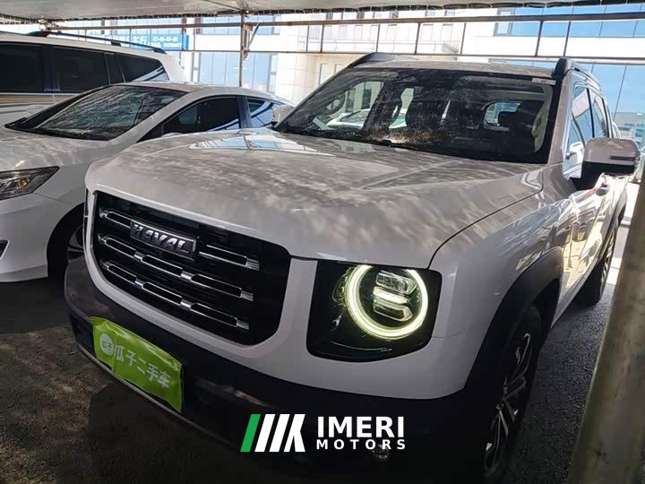 Great Wall Dachshund 1.5T DCT Two-Wheel Drive Border Collie Edition