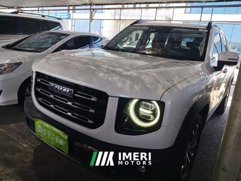 2021 Great Wall Dachshund 1.5T DCT Two-Wheel Drive Border Collie Edition - ავტომობილი ჩინეთიდან