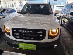 Great Wall Dachshund 1.5T DCT Two-Wheel Drive Border Collie Edition - ფოტო 3