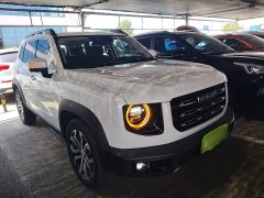 Great Wall Dachshund 1.5T DCT Two-Wheel Drive Border Collie Edition - ფოტო 4