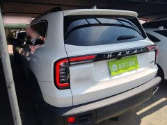 Great Wall Dachshund 1.5T DCT Two-Wheel Drive Border Collie Edition - ფოტო 5