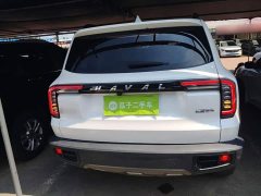 Great Wall Dachshund 1.5T DCT Two-Wheel Drive Border Collie Edition - ფოტო 6