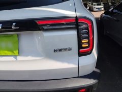 Great Wall Dachshund 1.5T DCT Two-Wheel Drive Border Collie Edition - ფოტო 8