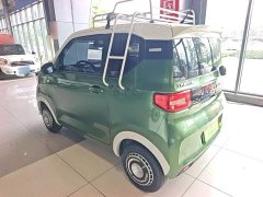 Wuling Hongguang MINIEV 2022 Easy Edition LFP Battery - ფოტო 5