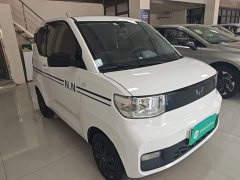Wuling Hongguang MINIEV Zizai Edition LFP Battery - ფოტო 4