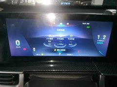 Chery Tiggo 7 Plus 1.6T GDI DCT Luxury - ფოტო 12
