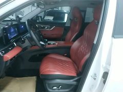 Chery Tiggo 7 Plus 1.6T GDI DCT Luxury - ფოტო 15