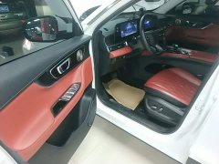 Chery Tiggo 7 Plus 1.6T GDI DCT Luxury - ფოტო 16