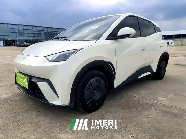 BYD Seagull Glory Edition 305km Vitality Version - ავტომობილი ჩინეთიდან