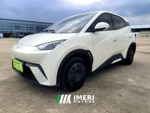 2024 BYD Seagull Glory Edition 305km Vitality Version