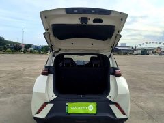 BYD Seagull Glory Edition 305km Vitality Version - ფოტო 19