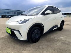 BYD Seagull Glory Edition 305km Vitality Version - ფოტო 2