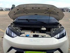 BYD Seagull Glory Edition 305km Vitality Version - ფოტო 20