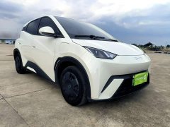 BYD Seagull Glory Edition 305km Vitality Version - ფოტო 4