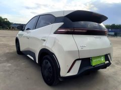 BYD Seagull Glory Edition 305km Vitality Version - ფოტო 5