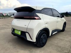 BYD Seagull Glory Edition 305km Vitality Version - ფოტო 7