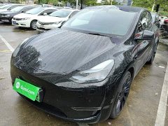 Tesla Model Y Long Range All-Wheel Drive - ფოტო 1