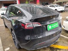 Tesla Model Y Long Range All-Wheel Drive - ფოტო 5