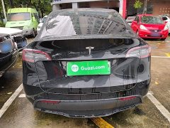 Tesla Model Y Long Range All-Wheel Drive - ფოტო 6