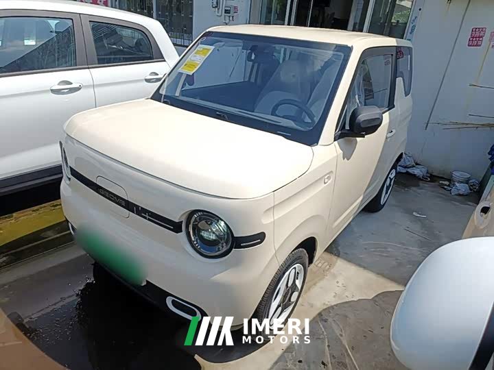 Geely Panda Mini 210km Vitality Edition
