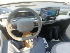 Geely Panda 2025 Panda Mini 210km Vitality Edition - ფოტო 10