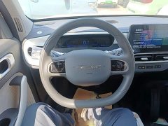 Geely Panda 2025 Panda Mini 210km Vitality Edition - ფოტო 11