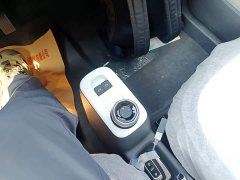 Geely Panda 2025 Panda Mini 210km Vitality Edition - ფოტო 14