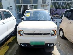 Geely Panda 2025 Panda Mini 210km Vitality Edition - ფოტო 3
