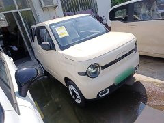 Geely Panda 2025 Panda Mini 210km Vitality Edition - ფოტო 4